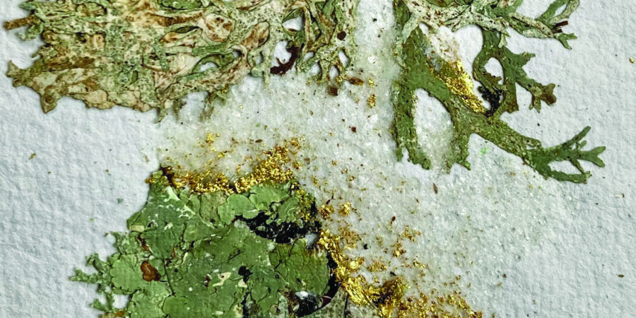 papier, lichen et poussière d'or par Laurence Bourgeois